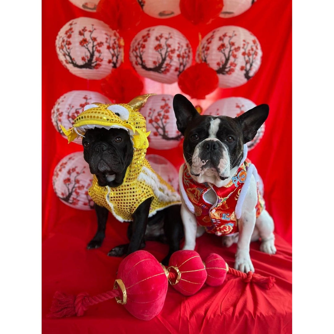 12 Inches Paper Lanterns Decorations Chinese Red Hanging Lanterns for New Year, Spring Festival, Wedding and Restaurant (26) - Just Closeouts Canada Inc.