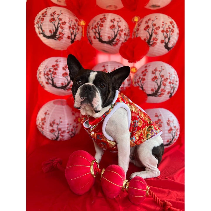 12 Inches Paper Lanterns Decorations Chinese Red Hanging Lanterns for New Year, Spring Festival, Wedding and Restaurant (26) - Just Closeouts Canada Inc.