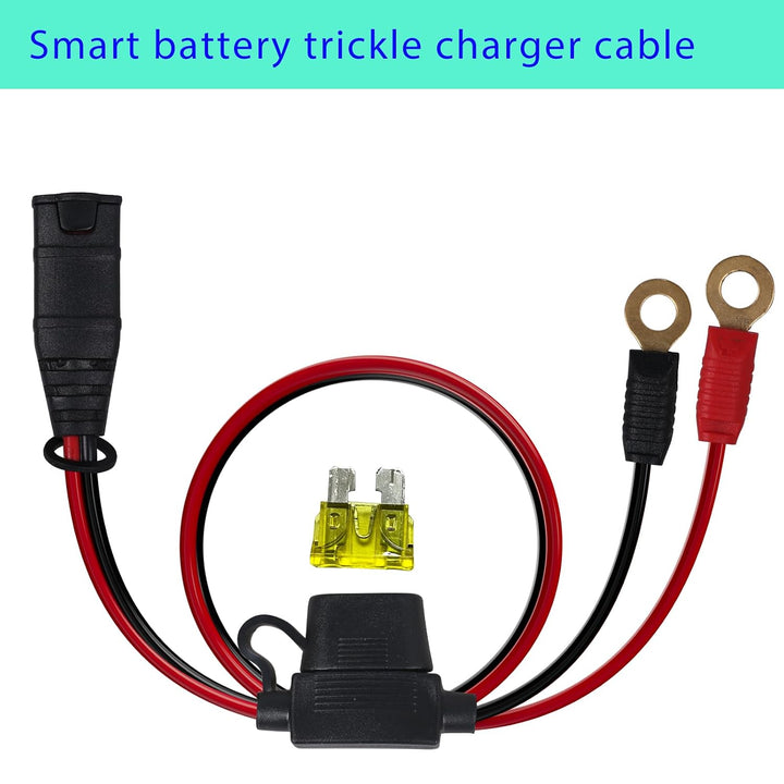 2-Pack Fused M6 Eyelet Battery Charger Harnesses with Spare Fuses - Just Closeouts Canada Inc.X004C4KRVN