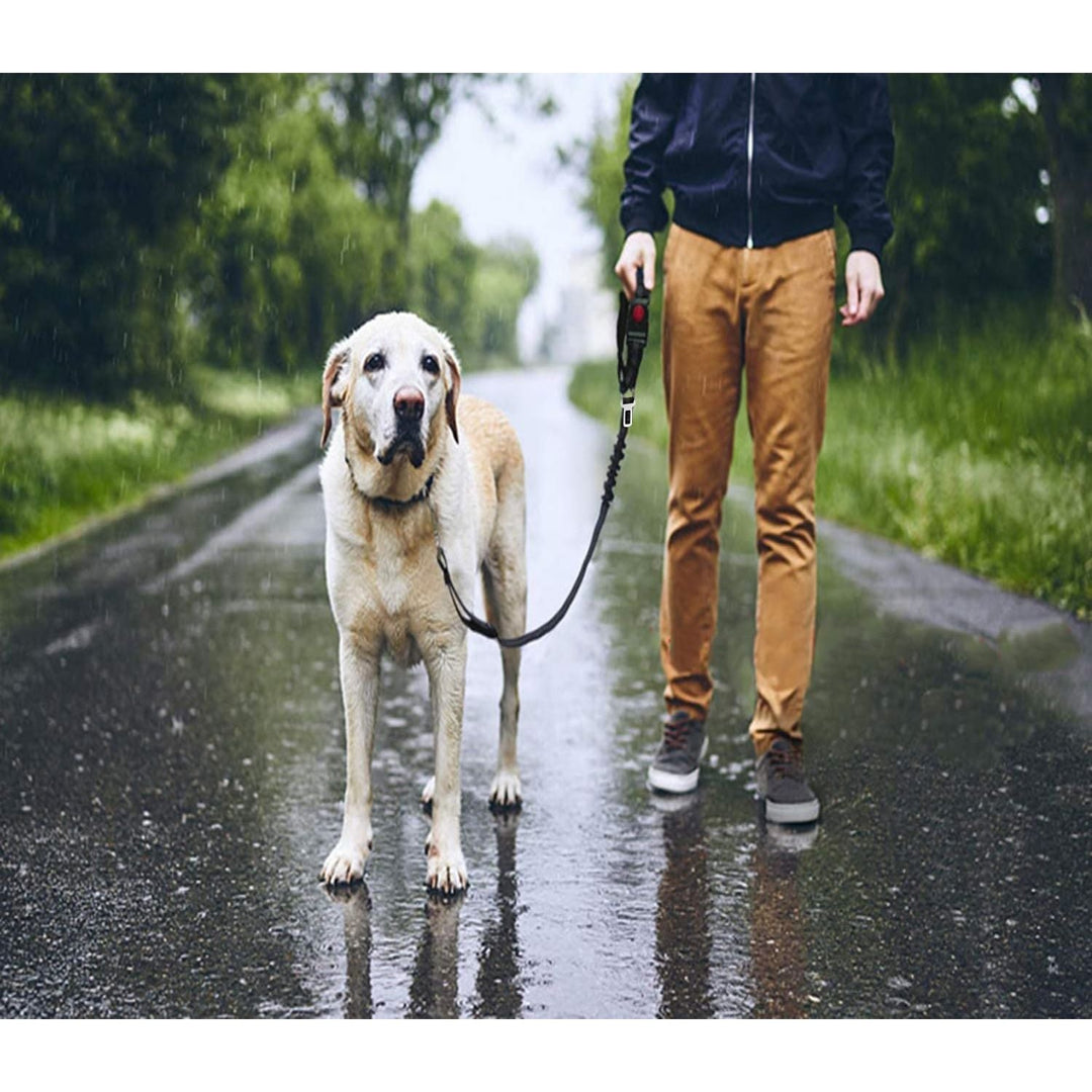 2 Pcs Dog Car Seat Belt, Pet Seatbelt Harness for Car, Headrest Restraint Adjustable Vehicle Dog Safety Leash, Elastic Bungee Buffer Reflective Strap, Heavy Duty Clip Buckle Tether for Medium Dog - Just Closeouts Canada Inc.