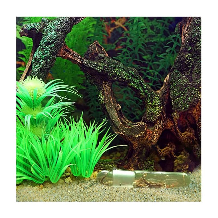 3-Piece Aquarium Planaria Trap Set, Glass and Acrylic - Just Closeouts Canada Inc.X004FFRXC5