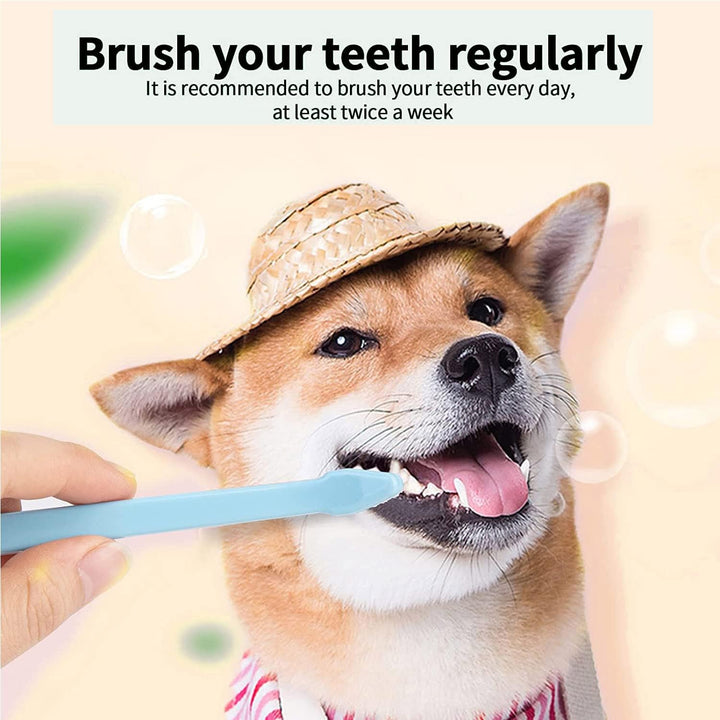 4 Mini Soft-Bristle Pet Toothbrushes, White and Blue - Just Closeouts Canada Inc.