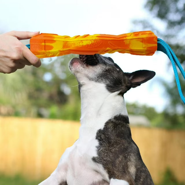 NERF Dog Megaton Competition Stick Dog Toy