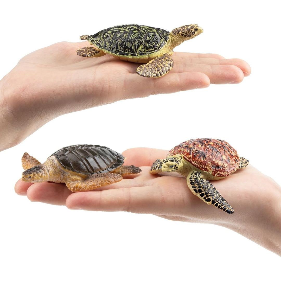 6PCS Realistic Sea Turtle Figurines, Ocean Sea Animals Figures Set Includes Different Varieties of Turtles, Educational Toy Cake Toppers Christmas Birthday Gift for Kids Toddlers - Just Closeouts Canada Inc.X0047C4AW7