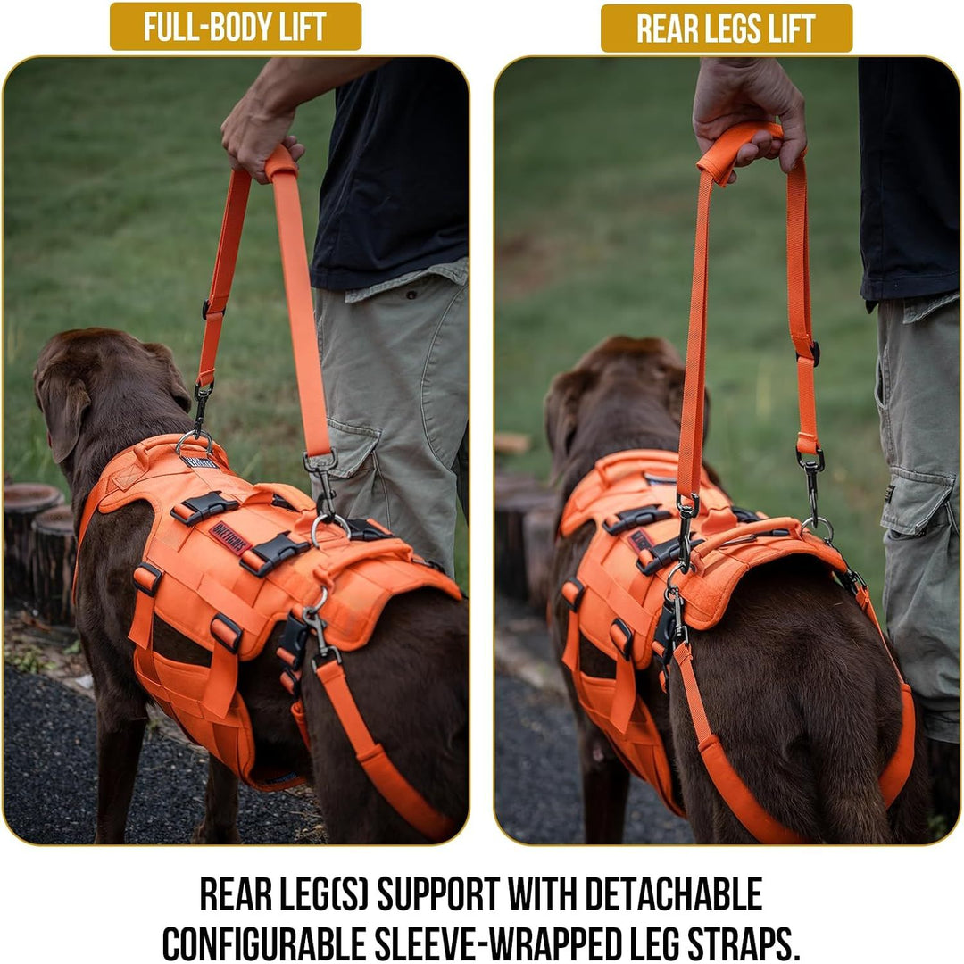 Lift Harness for Large Dogs, Support Sling for Back Legs, Lifter With Handles Invictus Multifunctional Mobility Assistance Vest Hip Support Brace (Orange, M)