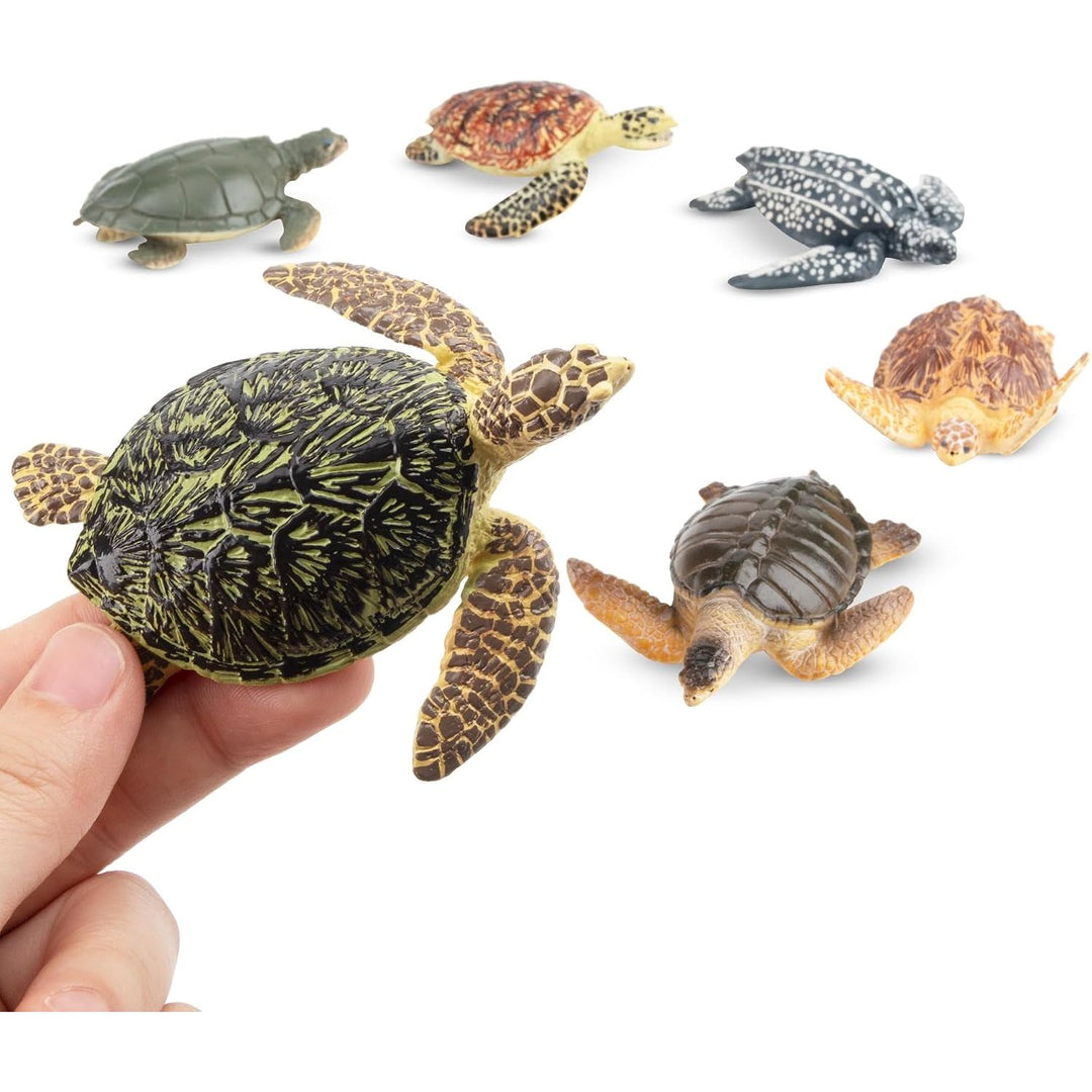 6PCS Realistic Sea Turtle Figurines, Ocean Sea Animals Figures Set Includes Different Varieties of Turtles, Educational Toy Cake Toppers Christmas Birthday Gift for Kids Toddlers
