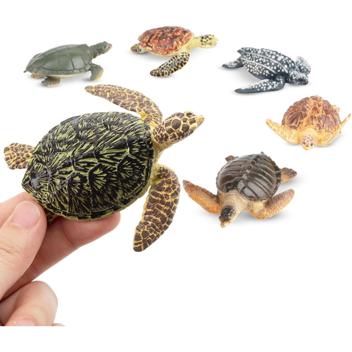 6PCS Realistic Sea Turtle Figurines, Ocean Sea Animals Figures Set Includes Different Varieties of Turtles, Educational Toy Cake Toppers Christmas Birthday Gift for Kids Toddlers