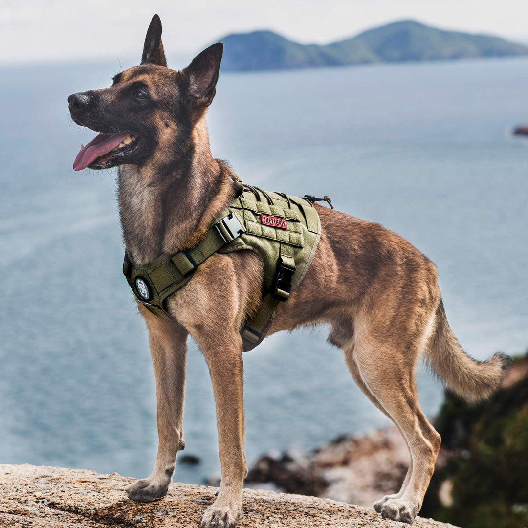 Tactical Dog Harness Military Dog Harness, Dog Harness with Handle Heavy Duty Dog Vest for Hiking Training Outdoor Dogs(Ranger Green, Large)