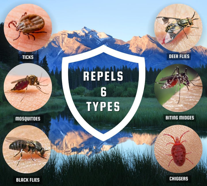 Canadian Shield Insect Repellent - 30% DEET Aerosol, 230G-CSA02