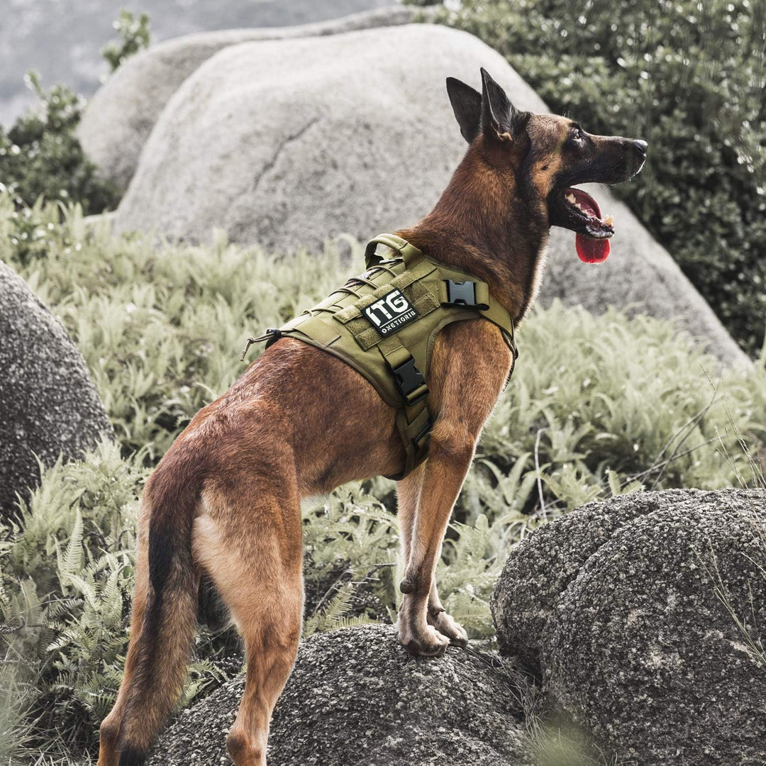 Tactical Dog Harness Military Dog Harness, Dog Harness with Handle Heavy Duty Dog Vest for Hiking Training Outdoor Dogs(Ranger Green, Large)