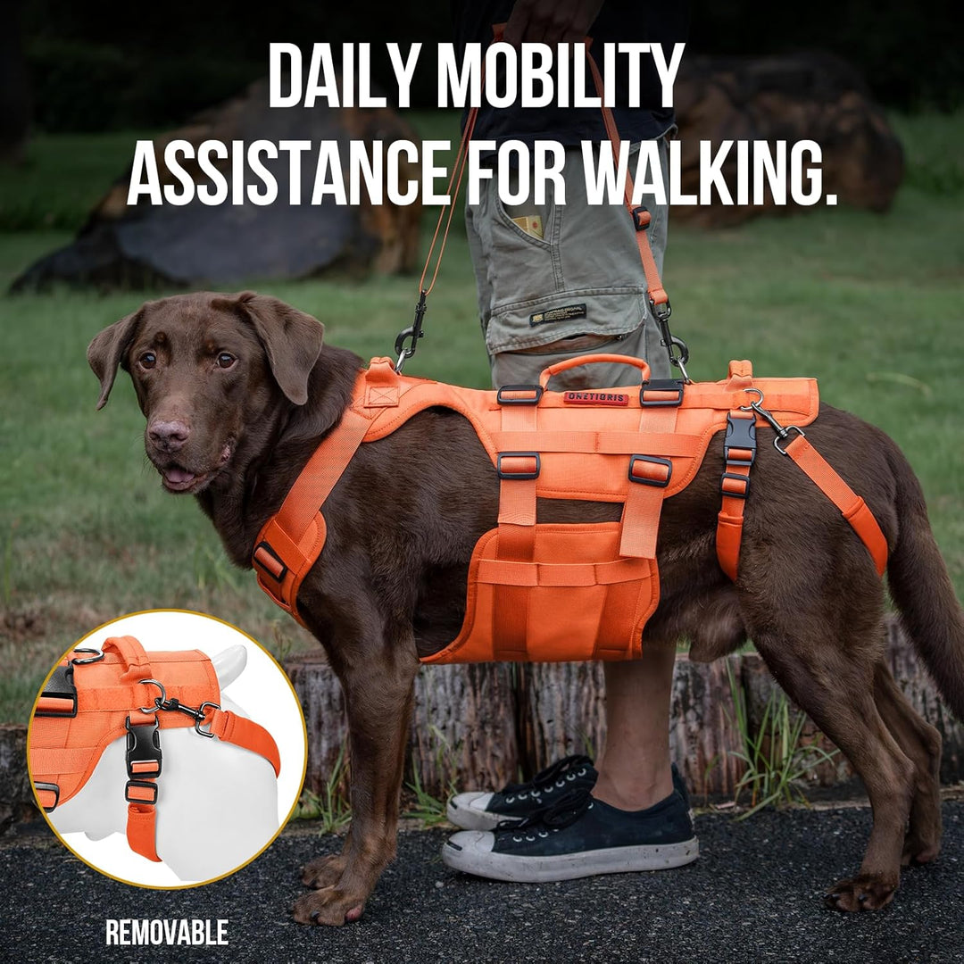 Lift Harness for Large Dogs, Support Sling for Back Legs, Lifter With Handles Invictus Multifunctional Mobility Assistance Vest Hip Support Brace (Orange, M)