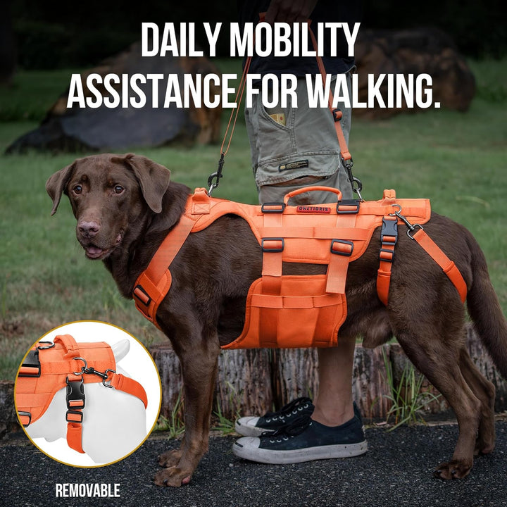 Lift Harness for Large Dogs, Support Sling for Back Legs, Lifter With Handles Invictus Multifunctional Mobility Assistance Vest Hip Support Brace (Orange, M)