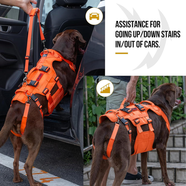 Lift Harness for Large Dogs, Support Sling for Back Legs, Lifter With Handles Invictus Multifunctional Mobility Assistance Vest Hip Support Brace (Orange, M)