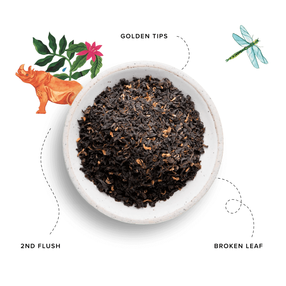 96 Degrees Tea Assam Tea, 20 Tea Bags - Just Closeouts Canada Inc.5065018349201