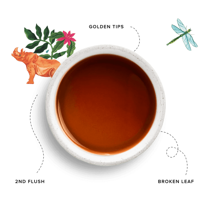 96 Degrees Tea Assam Tea, 20 Tea Bags - Just Closeouts Canada Inc.5065018349201