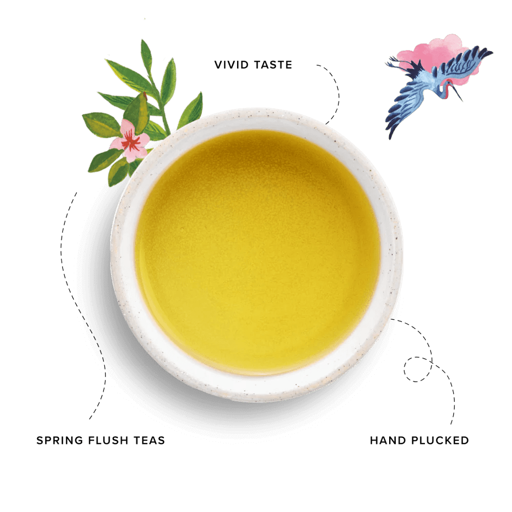 96 Degrees Tea Japanese Green Tea, 20 Tea Bags - Just Closeouts Canada Inc.5065018349249