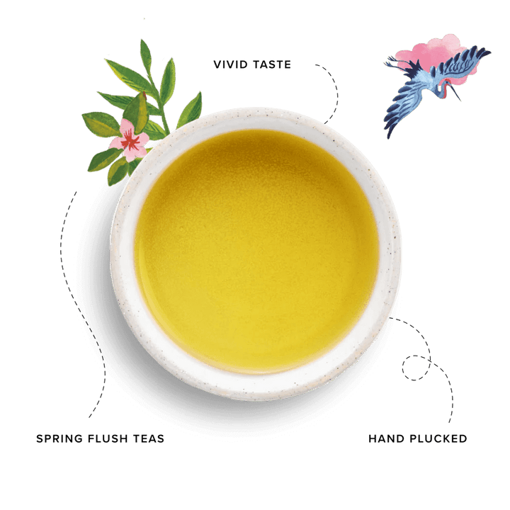 96 Degrees Tea Japanese Green Tea, 20 Tea Bags - Just Closeouts Canada Inc.5065018349249