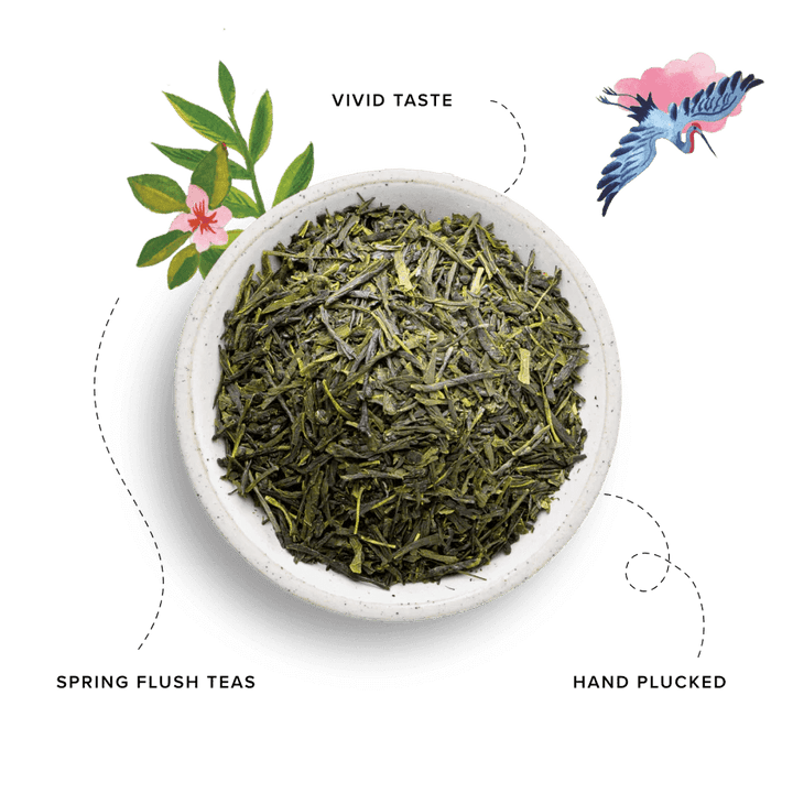 96 Degrees Tea Japanese Green Tea, 20 Tea Bags - Just Closeouts Canada Inc.5065018349249