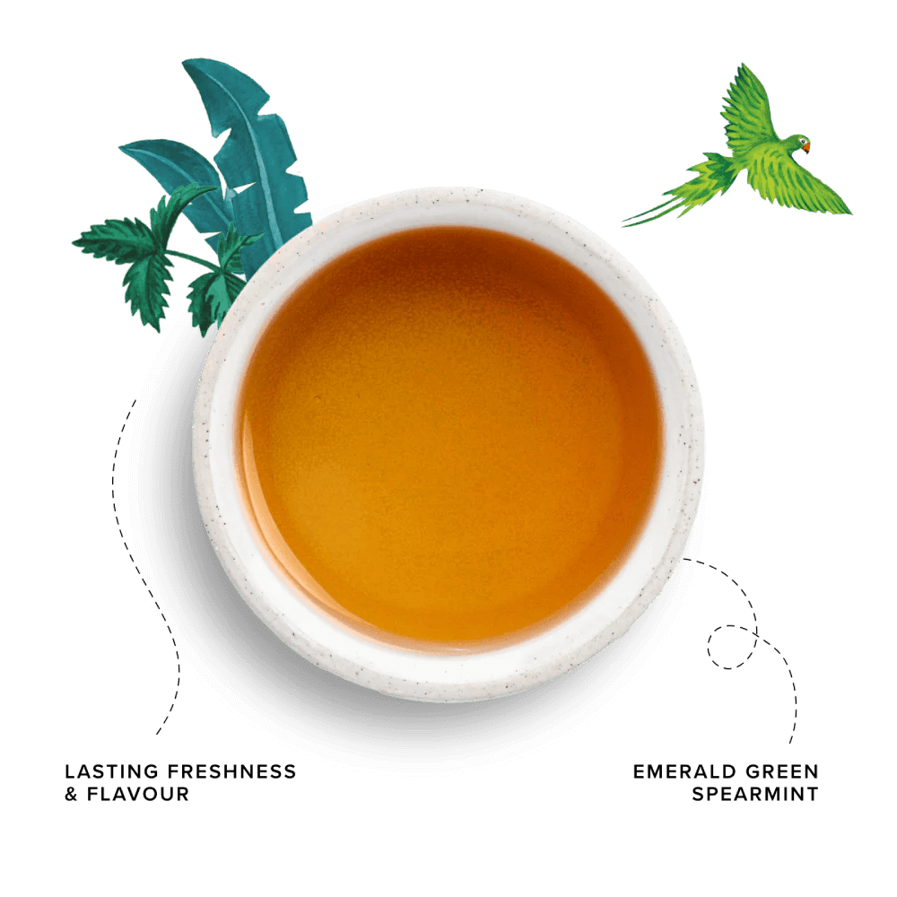 96 Degrees Tea Mint Tea, 20 Tea Bags - Just Closeouts Canada Inc.5065018349263