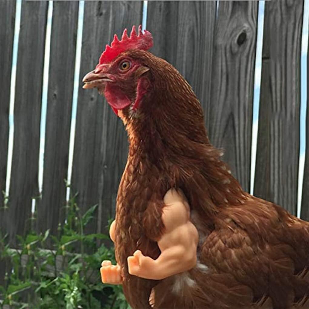 Silicone chicken costume arms, view 3