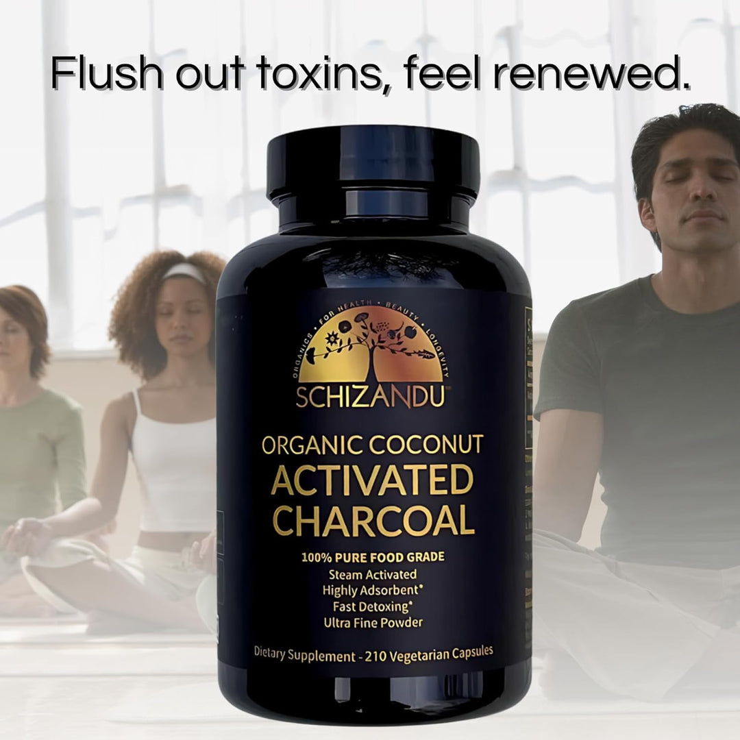 Activated Coconut Charcoal Capsules - Supports Health - Vegan, Organic, Non - GMO, No Additives - X - Large Bottle 210 Count - Just Closeouts Canada Inc.X001BIWGTJ