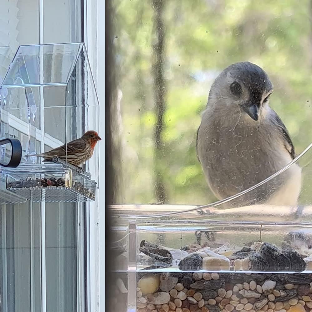 Bird Feeder Birds House for Outdoor, Window Bird Feeder with Strong Suction Cups for Wild Birds, Cardinal, Bluebird - Just Closeouts Canada Inc.X004CBEKBJ