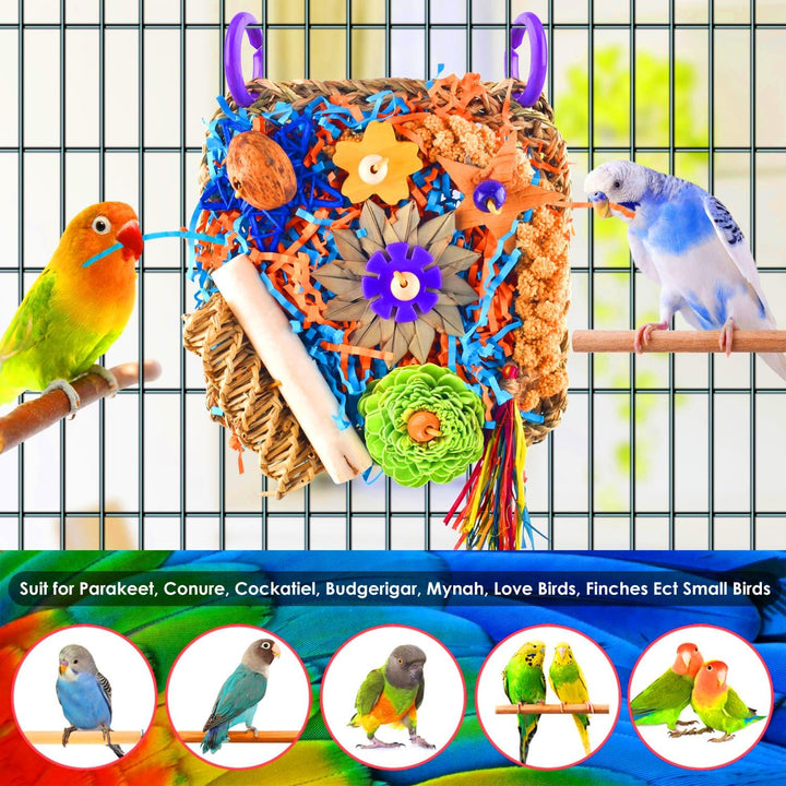 Bird Toys, Parrot Chewing Shredding Foraging Toys Parakeet Hanging Toys for Budgies Lovebird Cockatiel Small-Medium Bird - Just Closeouts Canada Inc.X004P3FOF5