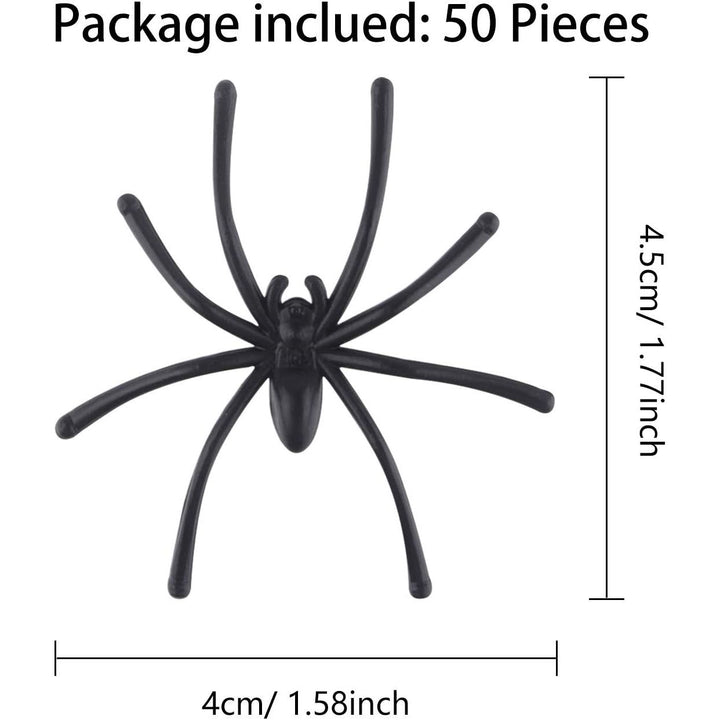 Spider dimensions approximately 5 by 4.5 centimetres