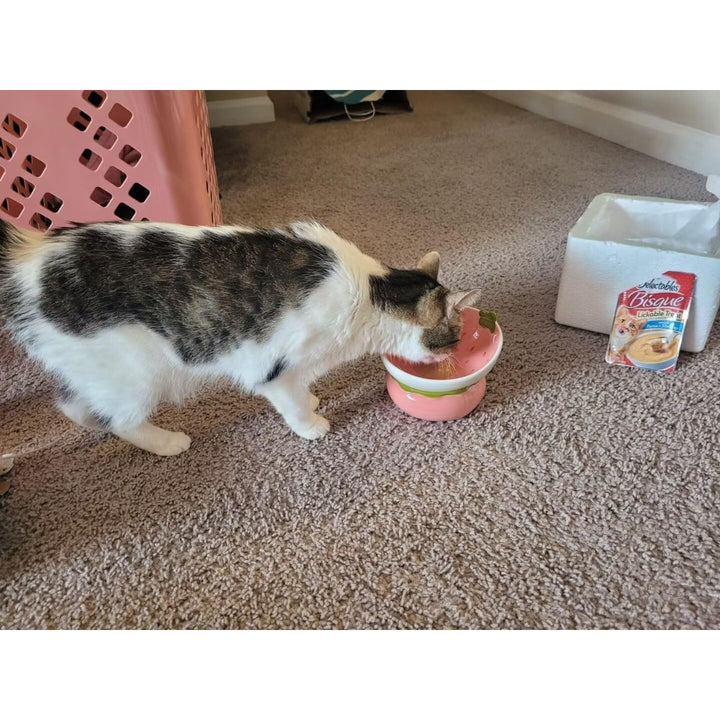 Ceramic Raised Cat Bowl, Elevated Cat Food Bowl for Indoor Cats, Anti Vomiting & Protect Pet's Spine, Cute Tilted Cat Dish for Flat Faced Cats and Kitten - Just Closeouts Canada Inc.