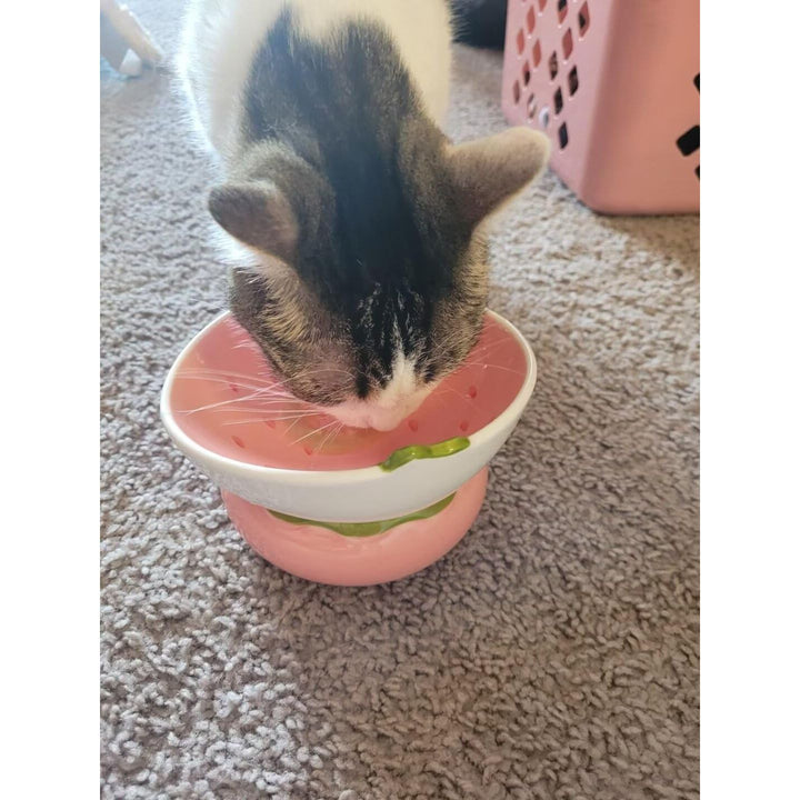 Ceramic Raised Cat Bowl, Elevated Cat Food Bowl for Indoor Cats, Anti Vomiting & Protect Pet's Spine, Cute Tilted Cat Dish for Flat Faced Cats and Kitten - Just Closeouts Canada Inc.