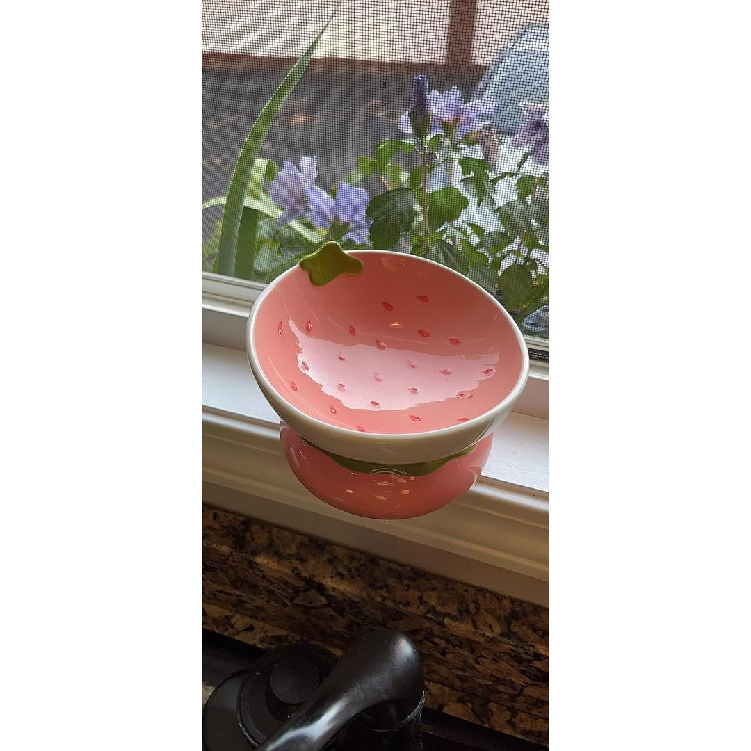 Ceramic Raised Cat Bowl, Elevated Cat Food Bowl for Indoor Cats, Anti Vomiting & Protect Pet's Spine, Cute Tilted Cat Dish for Flat Faced Cats and Kitten - Just Closeouts Canada Inc.