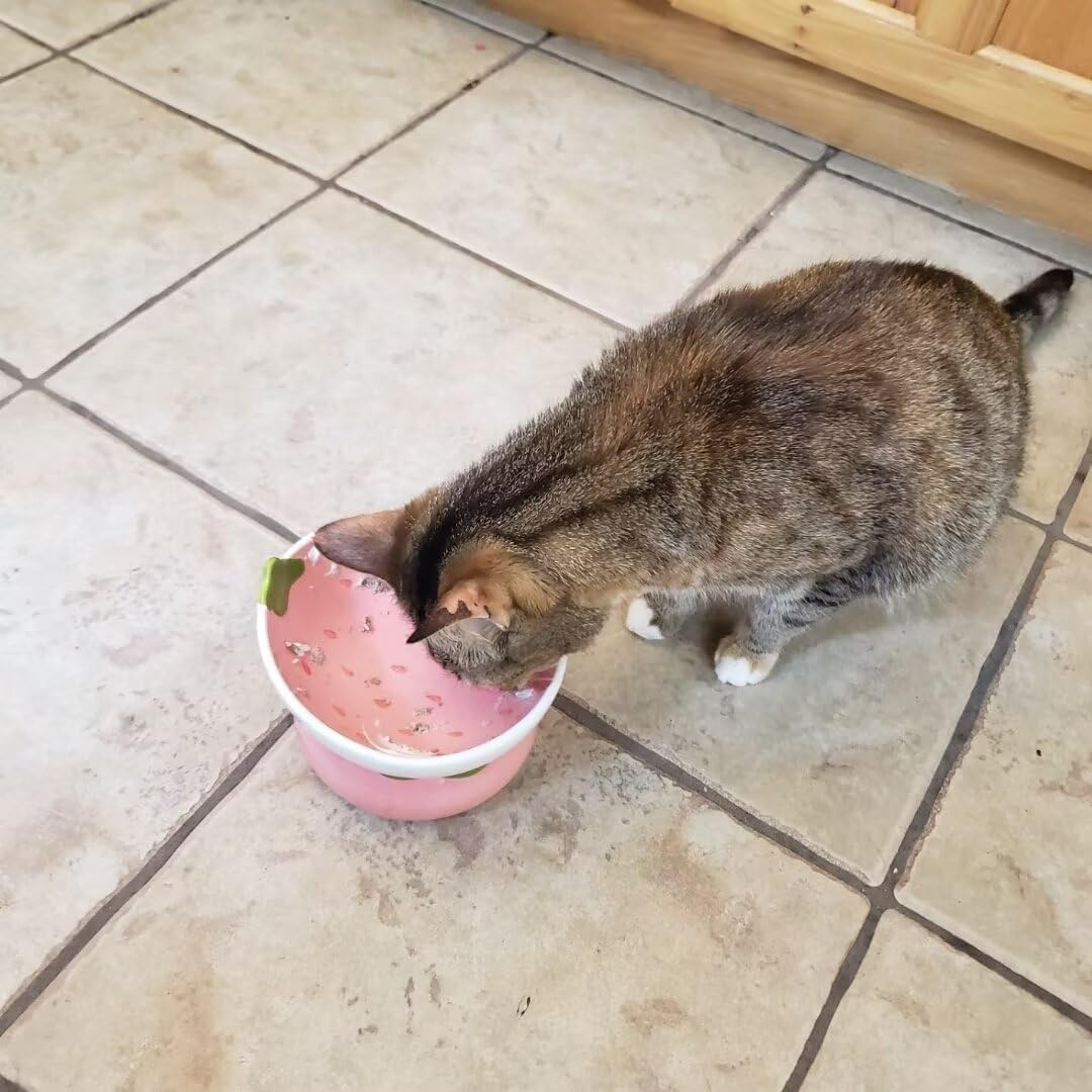 Ceramic Raised Cat Bowl, Elevated Cat Food Bowl for Indoor Cats, Anti Vomiting & Protect Pet's Spine, Cute Tilted Cat Dish for Flat Faced Cats and Kitten - Just Closeouts Canada Inc.