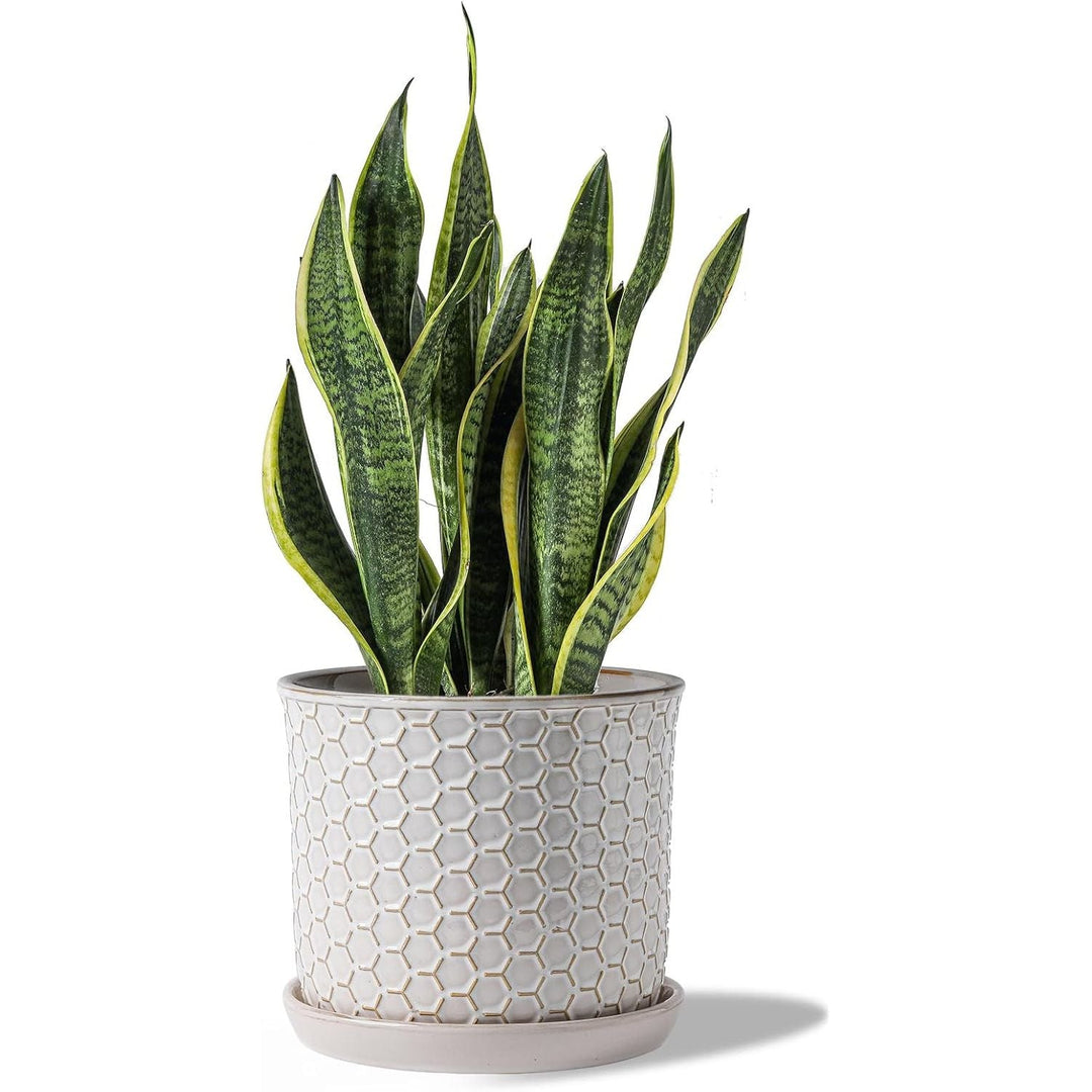 Chubacoo 8 Inch Plant Pot: Ceramic Planter with Drainage Hole & Saucer - Flowerpot for Indoor & Outdoor Plants with Separate Tray for Home & Office - Honeycomb Design, Cream White - Just Closeouts Canada Inc.