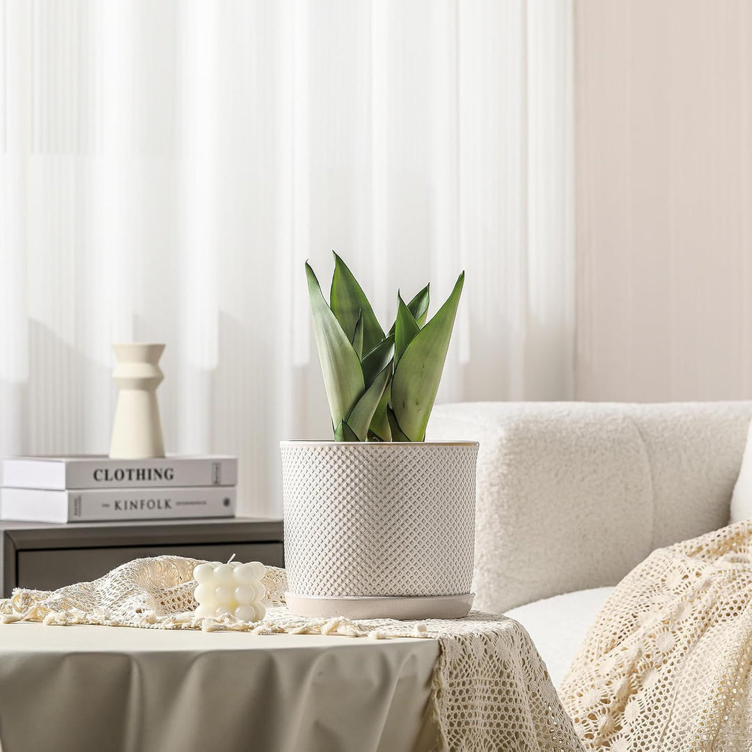 Chubacoo 8 Inch Plant Pots : Ceramic Planter Pot with Drainage Hole & Saucer - Flower Pot for Indoor & Outdoor Plants - Beaded Embossed Design White Planter with Separate Tray - Just Closeouts Canada Inc.