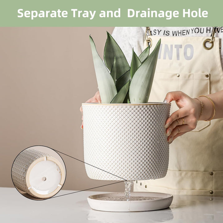 Chubacoo 8 Inch Plant Pots : Ceramic Planter Pot with Drainage Hole & Saucer - Flower Pot for Indoor & Outdoor Plants - Beaded Embossed Design White Planter with Separate Tray - Just Closeouts Canada Inc.