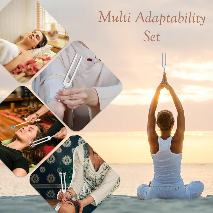 DiDiBirDi Tuning Fork Set,6 pcs (128Hz, 256Hz, 512Hz, 1024Hz, 2048Hz, 4096Hz) with Exquisite Aluminum Storage Case for Meditation, Yoga and relaxation exercises - Just Closeouts Canada Inc.