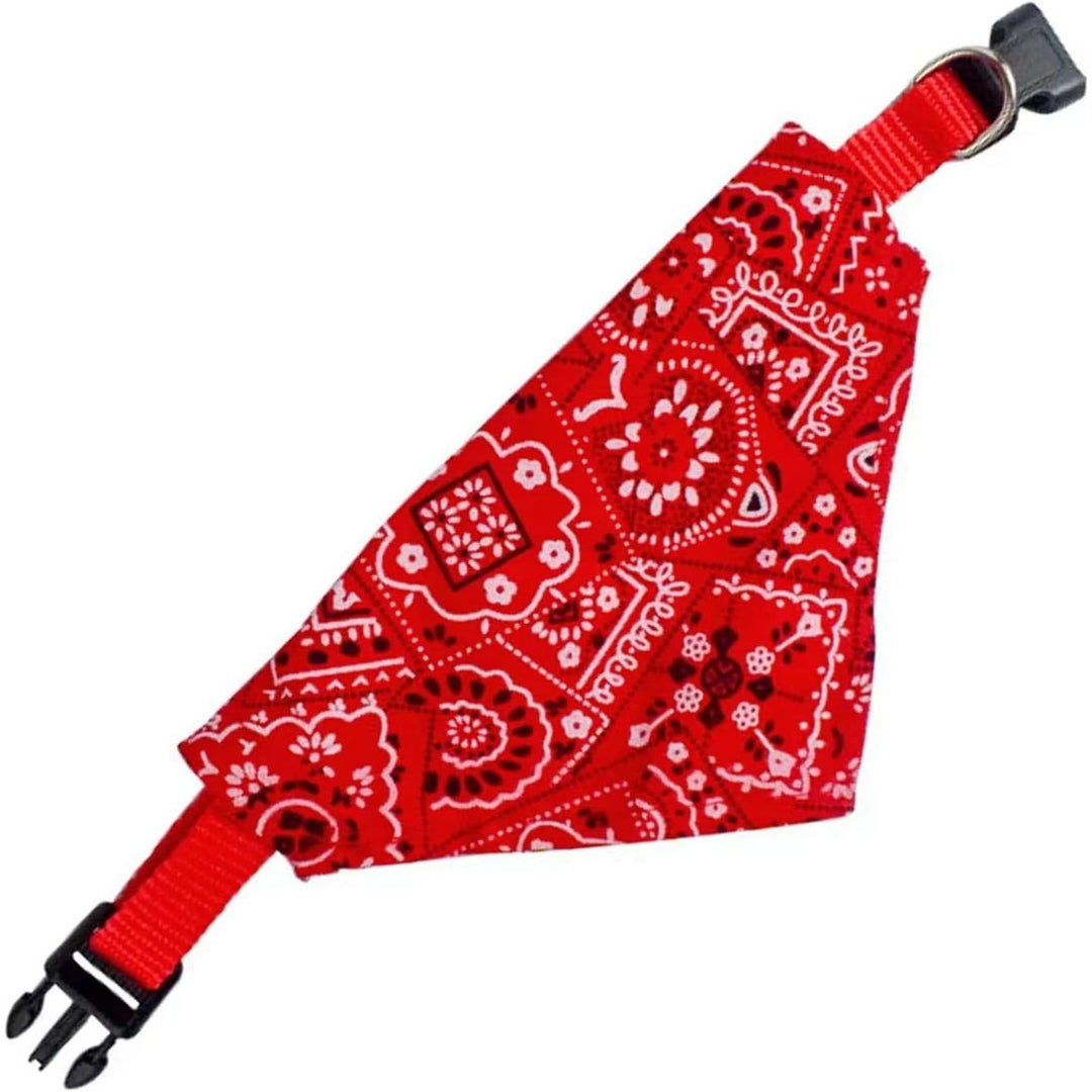 Dog Collar, 4 - Piece Set with Adjustable Buckle Dog Strap, Washable Dog Bandage Collar, Pet Bib (L) - Just Closeouts Canada Inc.