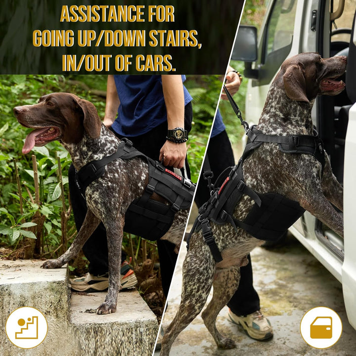 Dog Lift Harness for Large Dogs, Dog Support Sling for Back Legs, Dog Lifter with Handles Invictus Multifunctional Mobility Assistance Vest Dog Hip Support Brace (Black, XL) - Just Closeouts Canada Inc.