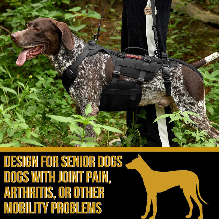 Dog Lift Harness for Large Dogs, Dog Support Sling for Back Legs, Dog Lifter with Handles Invictus Multifunctional Mobility Assistance Vest Dog Hip Support Brace (Black, XL) - Just Closeouts Canada Inc.