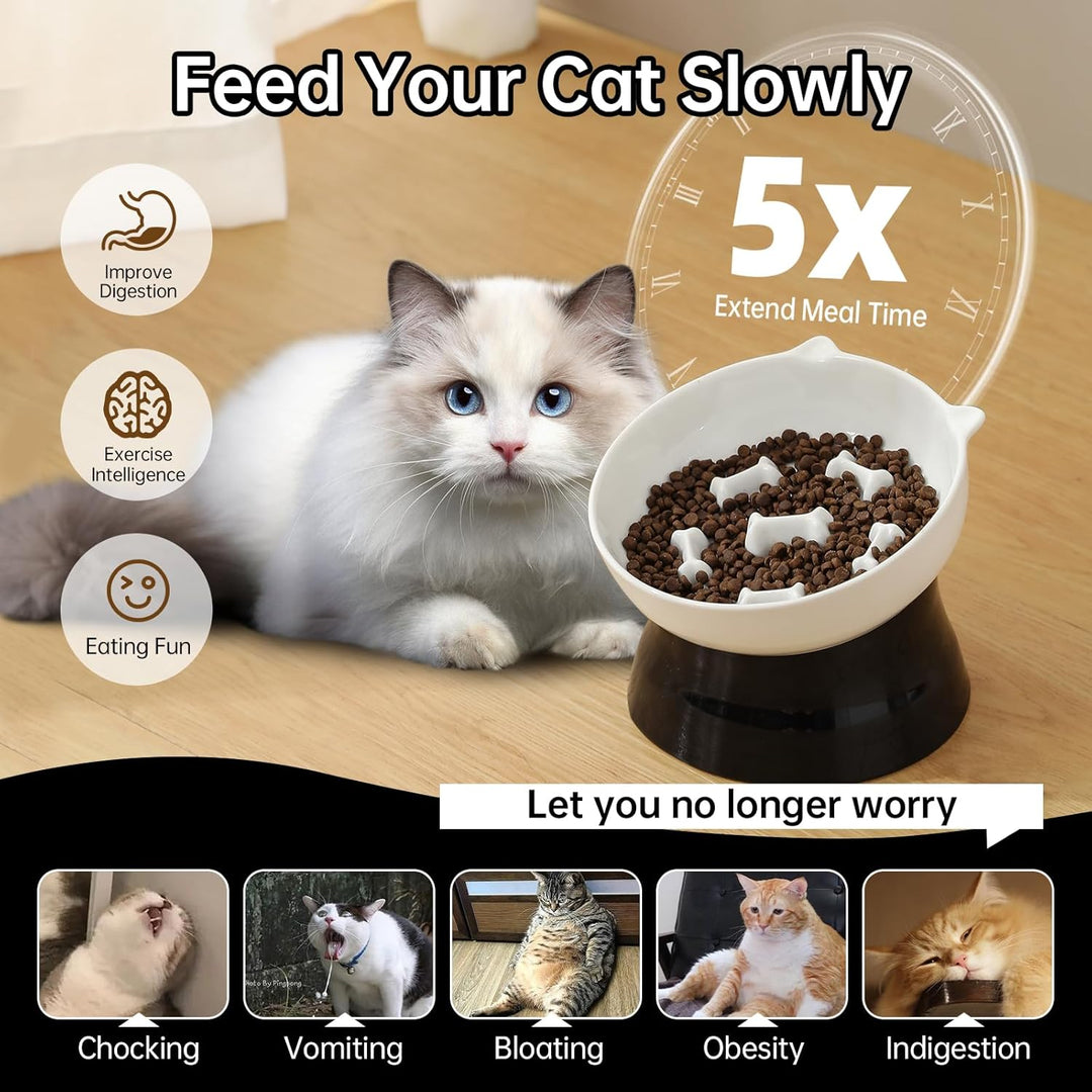 Elevated Cat Slow Feeder Bowl - Ceramic Cat Bowl Slow Eating - Cat Puzzle Feeders - Tilted Raised Cat Food Bowl Anti Vomiting - Whisker Friendly Cat Feeding Bowl - Dishwasher Microwave Safe - 6 Inch 39 - Just Closeouts Canada Inc.