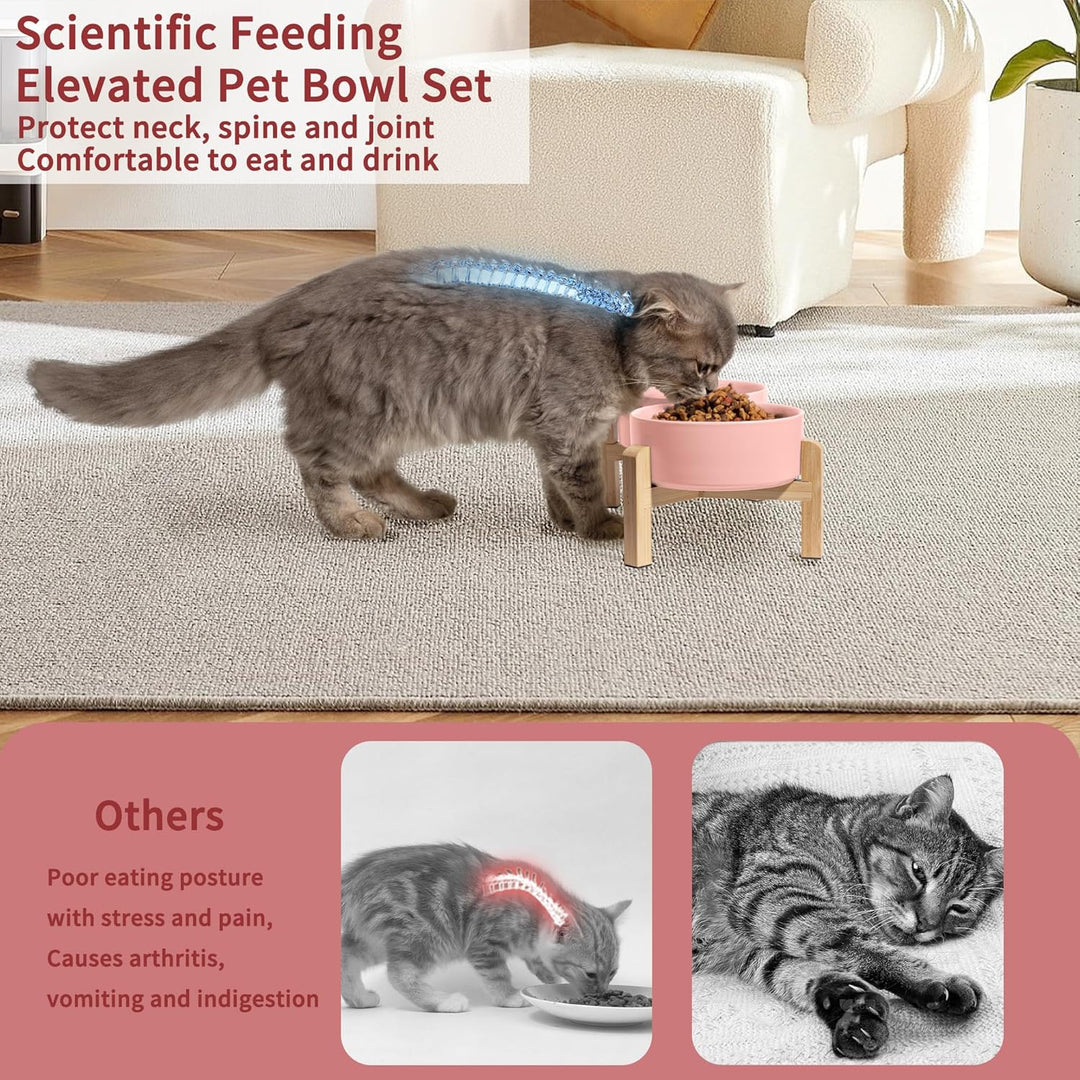 Elevated Ceramic Dog Bowl Set - Raised Feeding Bowls with Non - Slip Bamboo Stand - Small Pet Dishes for Food and Water - Ideal for Cats and Puppies, Pink 480 ML - Just Closeouts Canada Inc.