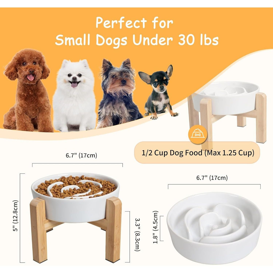 Elevated Slow Feeder Dog Bowl - Raised Ceramic Dog Bowl with Anti - Slip Stand - Fun Maze Dog Feeding Bowl for Fast Eater - Heavy Dog Food Dish - Designed for Small and Medium Dogs - White - 6.7 inch - Just Closeouts Canada Inc.