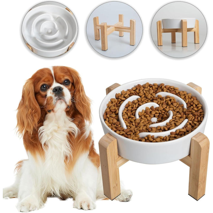 Elevated Slow Feeder Dog Bowl - Raised Ceramic Dog Bowl with Anti - Slip Stand - Fun Maze Dog Feeding Bowl for Fast Eater - Heavy Dog Food Dish - Designed for Small and Medium Dogs - White - 6.7 inch - Just Closeouts Canada Inc.