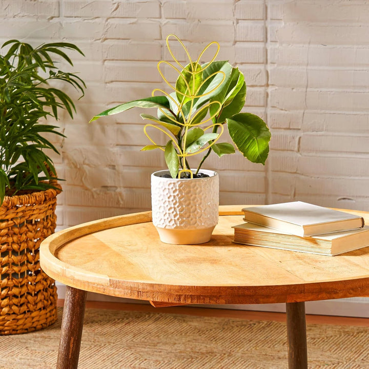 Indoor Plant Support, Trellis Leaf Shape Garden Trellis for Climbing Plant Metal Wire Stake for Potted Plant Houseplant Lover - PLJ - 011_CA - Just Closeouts Canada Inc.