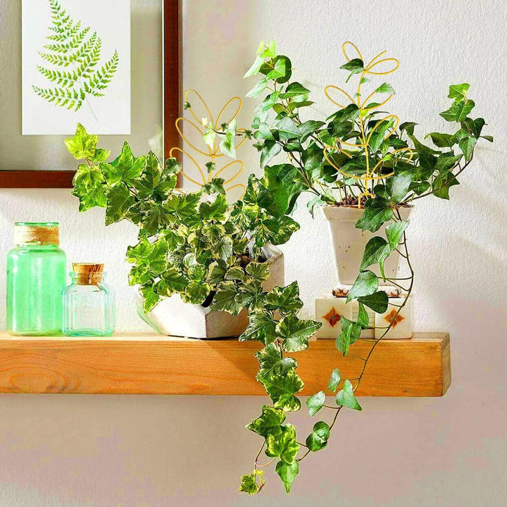 Indoor Plant Support, Trellis Leaf Shape Garden Trellis for Climbing Plant Metal Wire Stake for Potted Plant Houseplant Lover - PLJ - 011_CA - Just Closeouts Canada Inc.