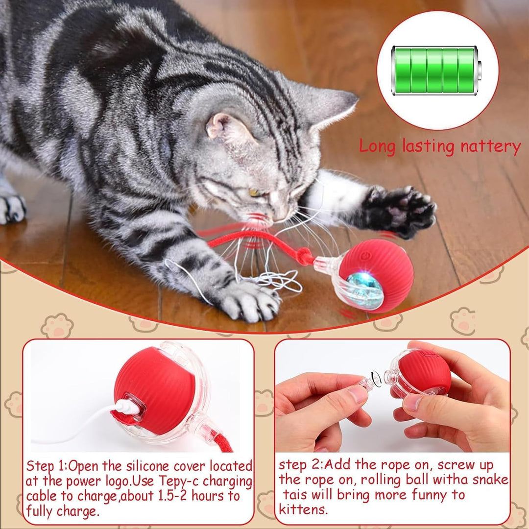 Interactive Cat Ball Toy for Indoor Cats - Fast Rolling Move On Carpet, Smart Obstacle Avoidance, 360° Smart Automatic Self Rolling, Cat Puzzle Toys for Bored Indoor Adult Cats and Dog (1pcs) - Just Closeouts Canada Inc.X004OL7T01