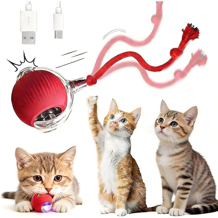 Interactive Cat Ball Toy for Indoor Cats - Fast Rolling Move On Carpet, Smart Obstacle Avoidance, 360° Smart Automatic Self Rolling, Cat Puzzle Toys for Bored Indoor Adult Cats and Dog (1pcs) - Just Closeouts Canada Inc.X004OL7T01