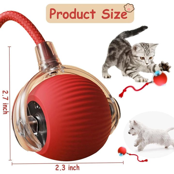 Interactive Cat Ball Toy for Indoor Cats - Fast Rolling Move On Carpet, Smart Obstacle Avoidance, 360° Smart Automatic Self Rolling, Cat Puzzle Toys for Bored Indoor Adult Cats and Dog (1pcs) - Just Closeouts Canada Inc.X004OL7T01