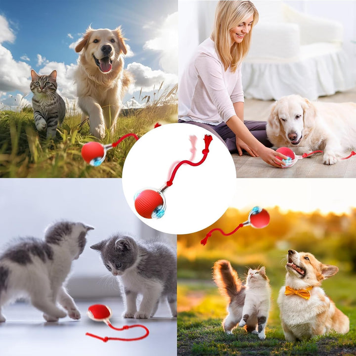 Interactive Cat Ball Toy for Indoor Cats - Fast Rolling Move On Carpet, Smart Obstacle Avoidance, 360° Smart Automatic Self Rolling, Cat Puzzle Toys for Bored Indoor Adult Cats and Dog (1pcs) - Just Closeouts Canada Inc.X004OL7T01