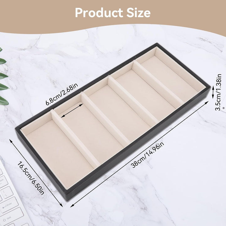 Five-compartment tray dimensions